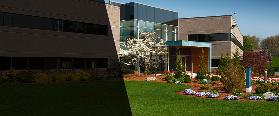 Princeville Landscapers