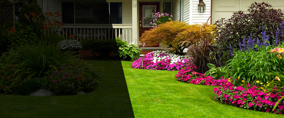 Princeville Landscapers