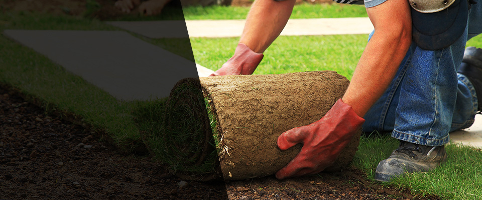 Princeville Landscapers